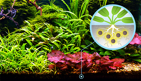 Удобрение для аквариумных растений AQUAYER Удо Ермолаева таблетки схема