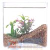 Грунт для аквариума Aquarium Plus кварц янтарный 2 – 4 мм
