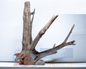 Коряга в аквариум №6 Ольха 57х44х51 см