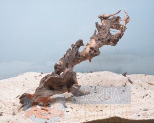 Коряга в аквариум №31 Коралловый корень 44х8х15 см