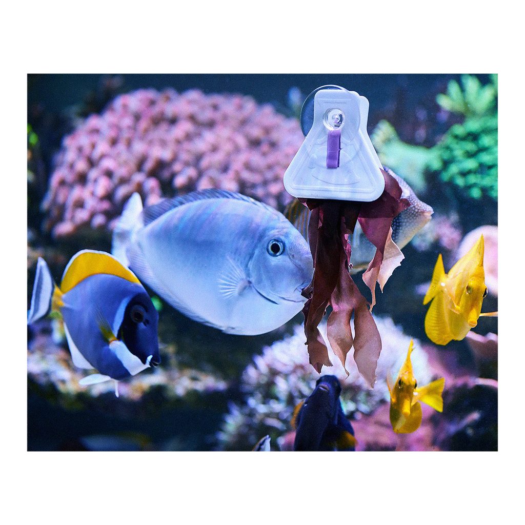 Прищепка для аквариумного корма Aquarium Systems Food Clips фото использования