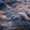 Твердий корал Echinophyllia spp, Red Eyes 26181