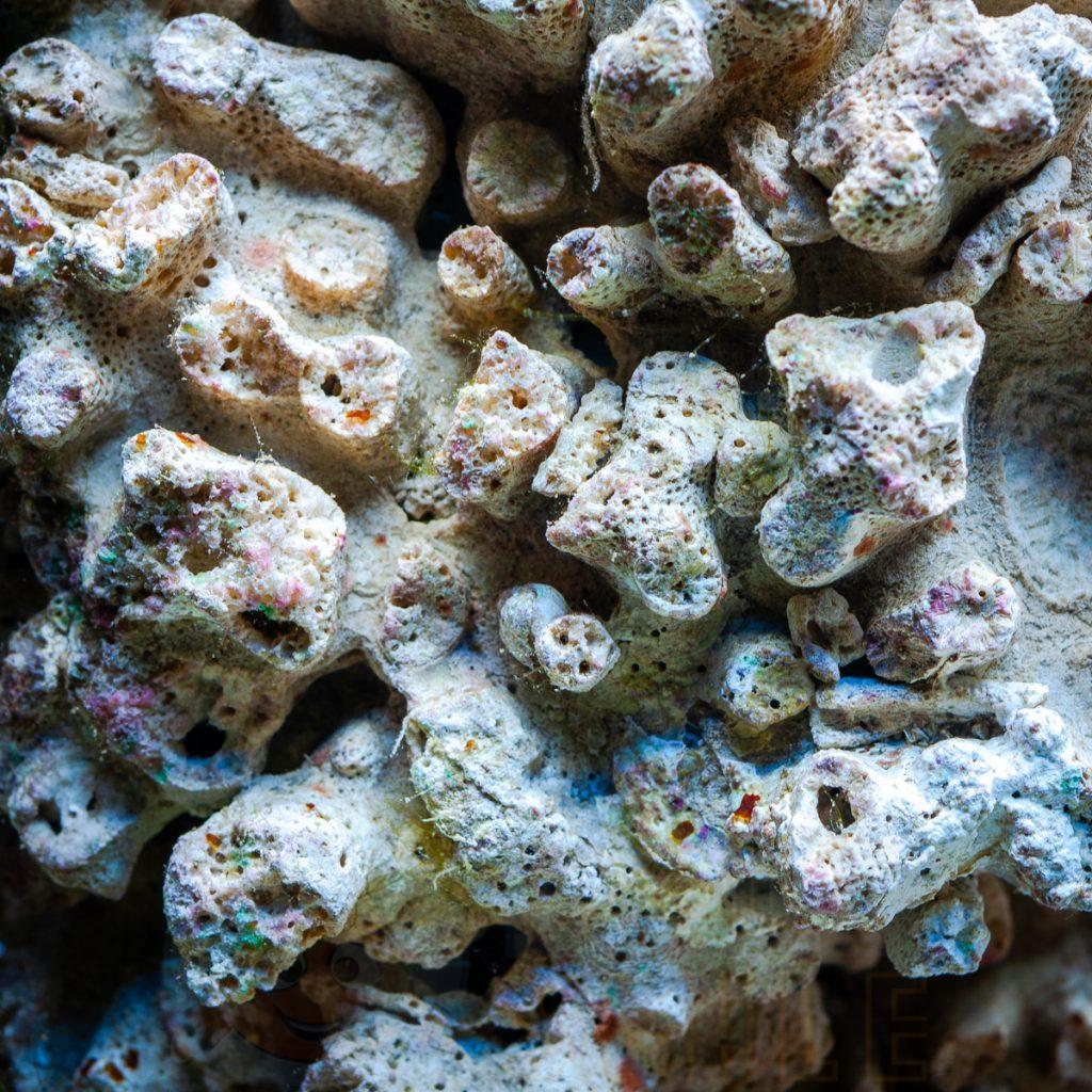 оживленный рифовый камень для аквариума