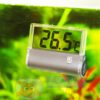 Цифровой термометр для аквариума JBL Aquarium Thermometer DigiScan 41421
