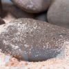 Камни для аквариума Окатыш бежево-серый кварцевый 46212