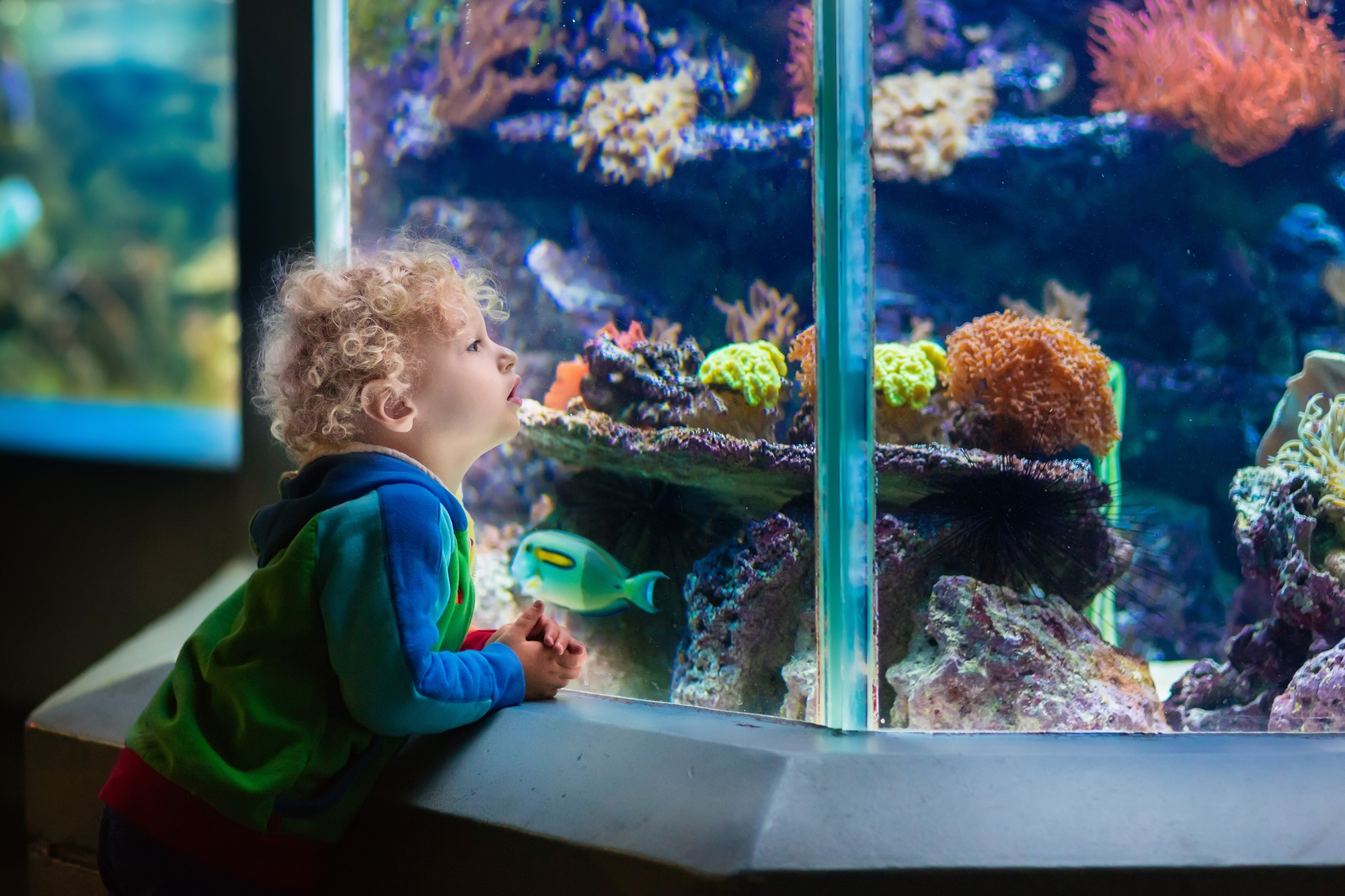 акваріум для дитини