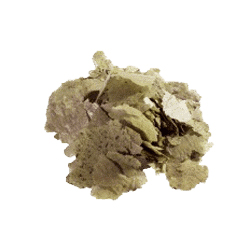 Корм для риб у пластівцях Aquarium Munster DR. BASSLEER BF FLORA FLAKE 70 г
