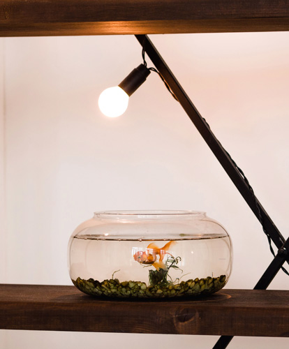 Светильник для аквариума декоративный фото