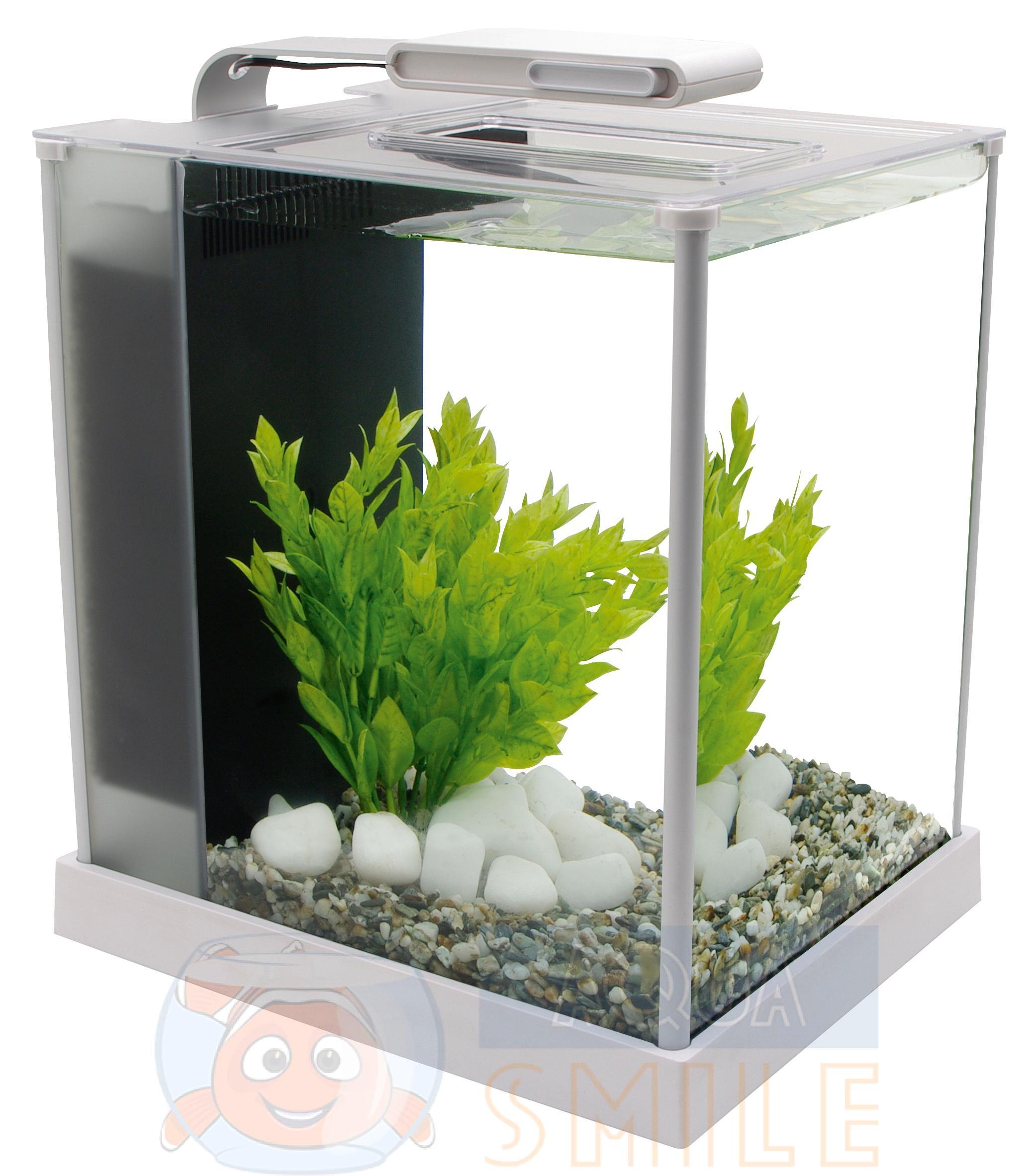 Аквариум 10 литров. Аквариум Hagen Fluval. Hagen Fluval spec 10 л. Аквариум Dennerle 10л. Аквариум Hagen Fluval spec 19 л белый.