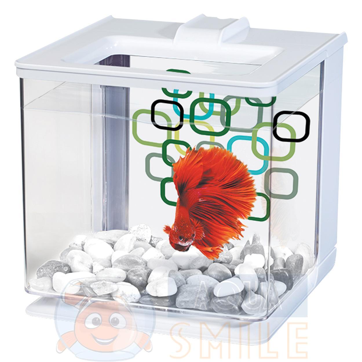 Аквариумы для петушков. Аквариум для петушка Betta Marina. Hagen / Хаген аквариум Marina Betta Kit Flower. Аквариум Marina Betta Kit ez Care Plast 2,5. Аквариумный набор 2 л Hagen Marina Betta Kit куб.