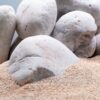 Камни для аквариума Окатыш белый кварцевый 15748 Камни для аквариума Окатыш белый кварцевый 15748