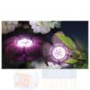 Светильник Sicce FLOWER LED BASIC 30334