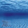 Акваріумний задній фон Aqua Nova Синє море/Камені з корчами 31999
