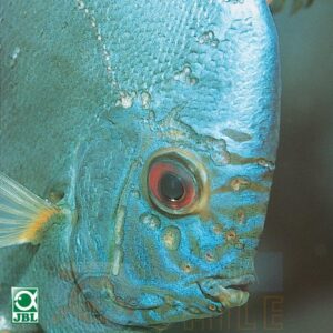 Лекарство для рыбок JBL Spirohexol Plus 250 100 мл