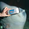 Магнітний скребок для акваріума плаваючий JBL Floaty Shark, товщ. скла 20-30 мм 38255