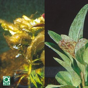 Альгицид для аквариума JBL Algol