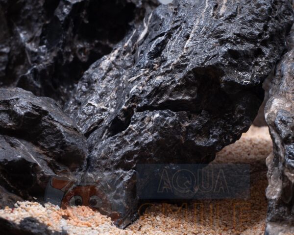 Камень для аквариума Черный Кварц или Seiryu Stone купить в Киеве ...
