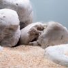 Камені для акваріума Окатиш білий кварцовий 46205