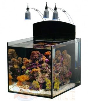 Морський акваріум SM aqua 80 з тумбою