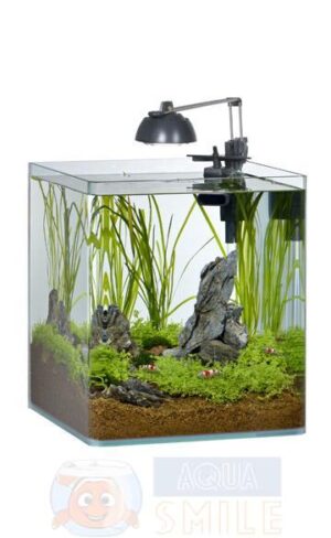 Нано аквариум для креветок EHEIM NanoShrimp 35